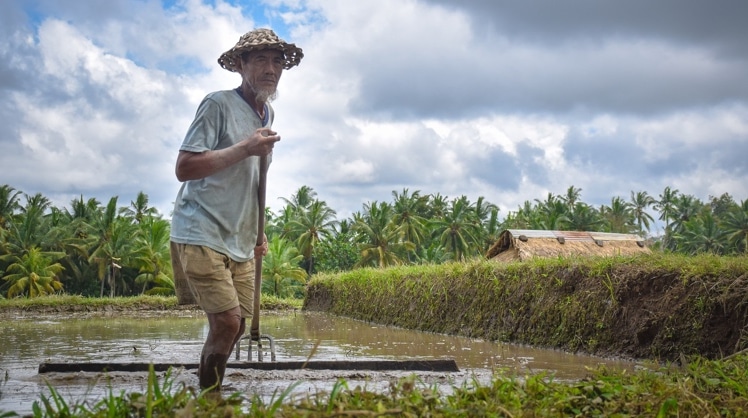 Jobs in der Agrarwirtschaft – vor allem im asiatisch-pazifischen Raum und Afrika – sind besonders von den Folgen der Schäden durch Klimaextreme betroffen. © Sergio Capuzzimati/Unsplash
