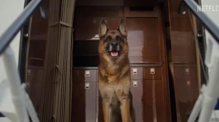 Gunther der IV. ist kein gewöhnlicher Schäferhund, aber existiert er wirklich oder ist er nun ein PR-Gag? © Trailer Netflix Dokumentation "Gunther's Millions"

