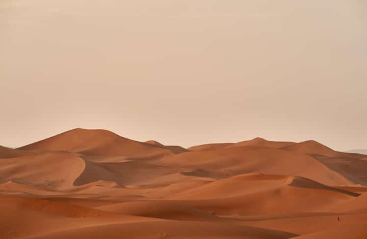 Wüste: Hydrogel saugt Wasser auch aus heißer Luft. © Wolfgang Hasselmann/Unsplash