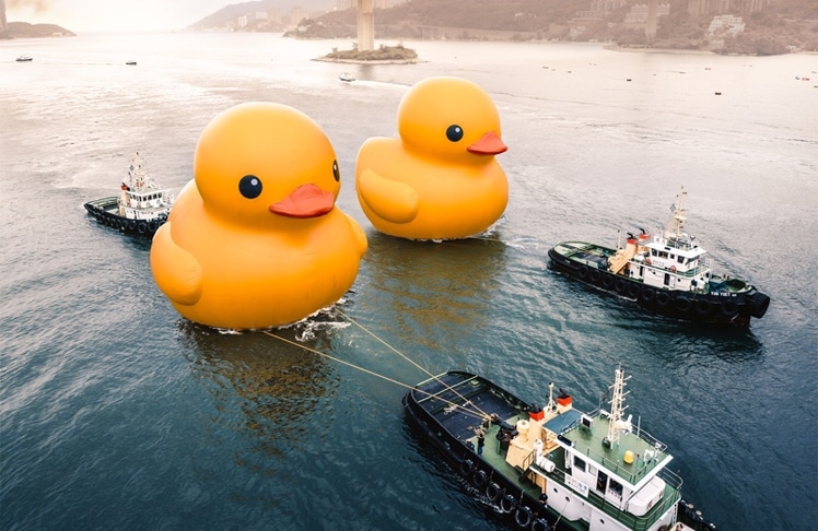 Die "Double Ducks" bei ihrer Ankunft im Victoria Harbour © Hong Kong Tourism Board