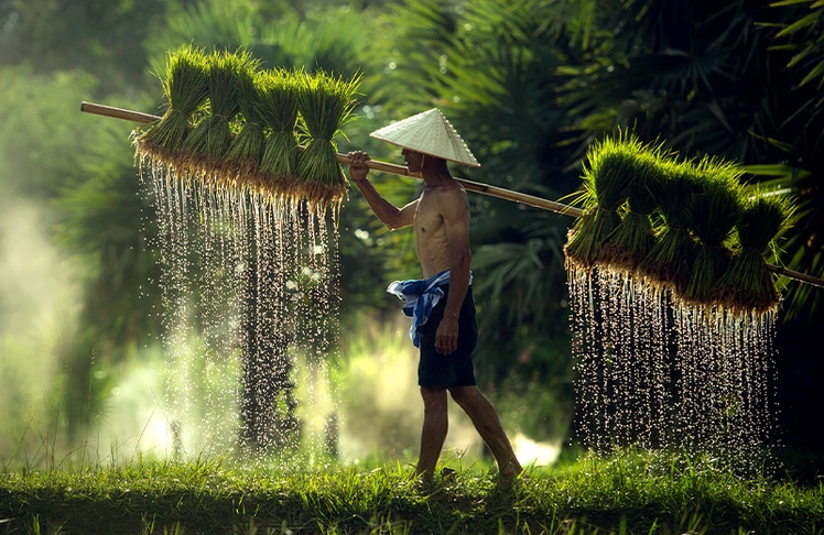 Vietnam erreichte im Touristikjahr 2024/2025 die stärksten Zuwächse der gesamten ostasiatischen Region © Enjoy Reisen