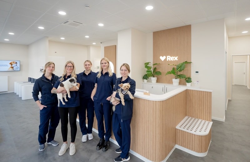 Das Team der Düsseldorfer Praxis bekommt zeitnah neue Kollegen in Stuttgart (Bild: Rex)