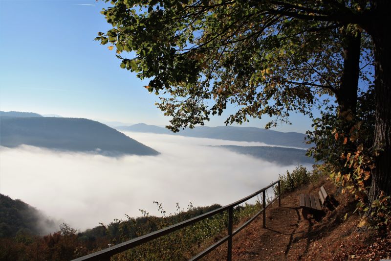 Herbst am Edersee in Nordhessen: Dichte Nebelschwaden ziehen durch die bewaldete Landschaft und eröffnen vom Aussichtspunkt einen eindrucksvollen Blick über die Region Kellerwald-Edersee. Das Gebiet zählt zu den attraktiven Zielen für Natur- und Wanderurlaub in Deutschland. © Dieter Klinkowski/Pixabay