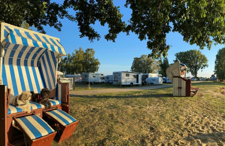 Hundefreundliche Campingplätze in Deutschland: Stover Strand Camping in Niedersachsen belegt im aktuellen PiNCAMP-Ranking Platz zehn der Top 25. 