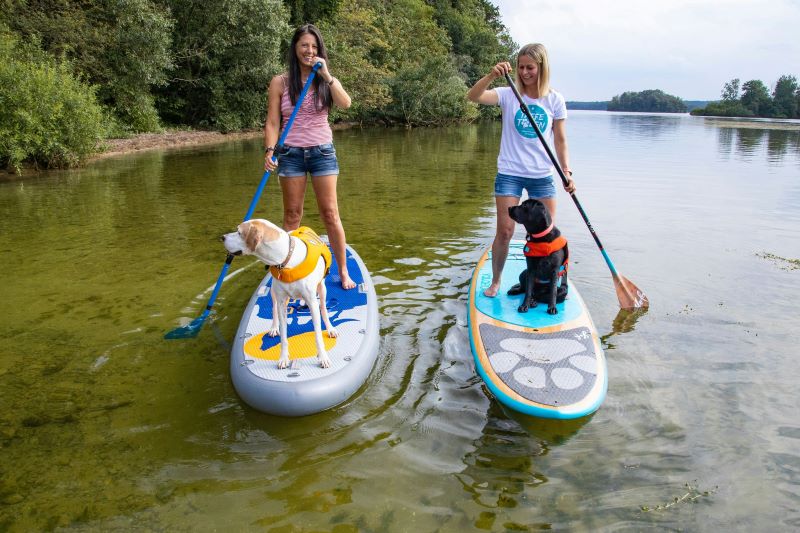 Camping mit Hund am Kellersee: Naturpark-Camping Prinzenholz in Schleswig-Holstein belegt im aktuellen PiNCAMP-Ranking der hundefreundlichsten Campingplätze Deutschlands den zweiten Platz. © PiNCAMP