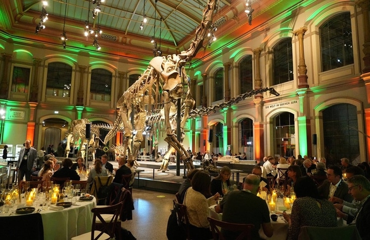 Eindruck aus dem Naturkundemuseum in Berlin