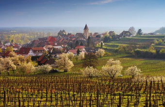 Ein Dorf als Hotel: Schwarzwald entwickelt innovatives Tourismusmodell