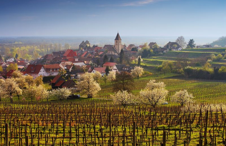 Schwarzwald-Dorf inmitten von Weinlandschaft: Das Konzept "Albergo Diffuso“ setzt auf bestehende Strukturen im ländlichen Tourismus.