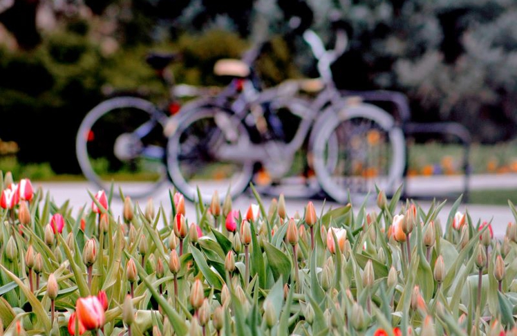 Deutschland startet in die Ausflugssaison im Frühjahr 2026.