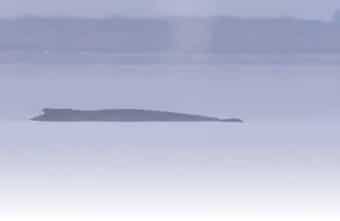 Walter Gunz & Karin Walter-Mommert: Wer sind die Millionäre hinter der Rettung von Wal Timmy?