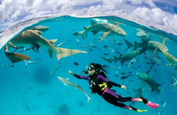 Die von Unterwasserfotograf Tobias Friedrich und Familie veranstaltete Ocean Discovery Week führt geneigte Teilnehmer ins UNESCO-geschützte Baa-Atoll der Malediven