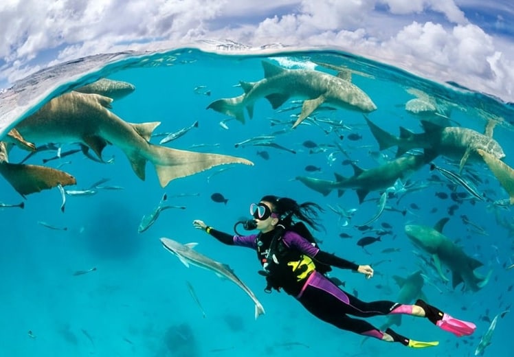 Ocean Discovery Week: Unterwasserfotograf Tobias Friedrich lädt ins Luxusresort