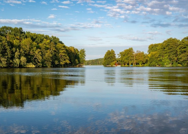 Deutschlands Badeseen im Check: Wie sauber ist das Wasser?