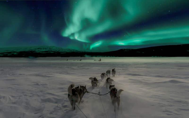 Eine Hundeschlittenfahrt unter den Nordlichtern gehört zu den eindrucksvollsten Naturerlebnissen Norwegens. Das Land belegt im Ranking der schönsten Länder der Welt 2026 Rang sieben. © Thomas Lipke/Unsplash