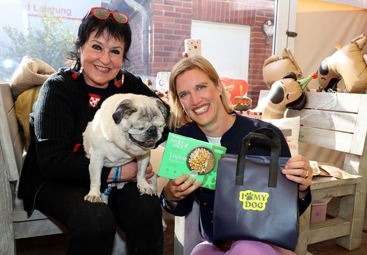 Geburtstag wie ein Promi: Mops Willy feiert auf Sylt