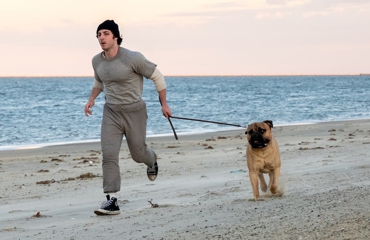 Anthony Ippolito spielt Sylvester Stallone in "I Play Rocky", der hierzulande am Donnerstag, 05. November im Kino anläuft