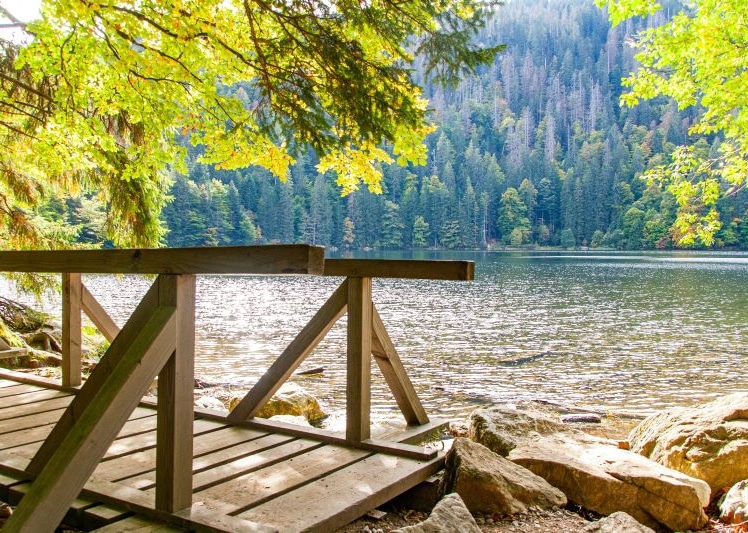 Coolcation boomt: Wohin Urlauber vor der Hitze fliehen